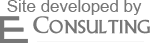 Logo e-consulting